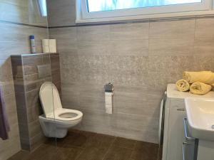 a bathroom with a toilet and a sink at Bungalov v Krásné Lípě in Krásná Lípa