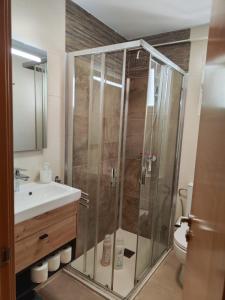 a bathroom with a shower and a sink and a toilet at Apartamentos Go Buenavista- Tordesillas in Tordesillas