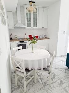 Kuchyň nebo kuchyňský kout v ubytování Amellia