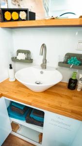 a bathroom sink on a wooden counter top with a sink at Hausboot als Festlieger im Hafen -Hafenruhe- in Braunsbedra