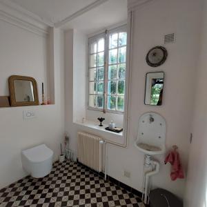 a bathroom with a toilet and a sink and a window at La Firmière - Maison de maître - Famille et amis in Omméel
