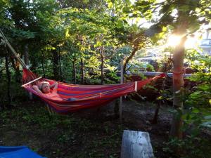 a woman laying in a hammock in a forest at Ferienzimmer KAI mit Fahrradverleih in Zinnowitz