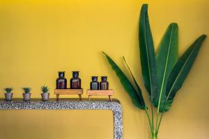 a shelf with four black bottles on a yellow wall at Viroth's Hotel in Siem Reap