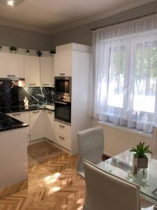 Η κουζίνα ή μικρή κουζίνα στο Cactus Apartment