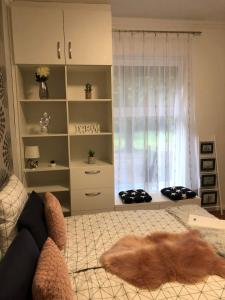 Φωτογραφία από το άλμπουμ του Cactus Apartment στο Σέγκεντ +6 φωτογραφίες