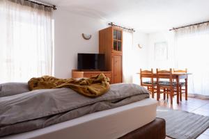 TV a/nebo společenská místnost v ubytování Chalet Vedig