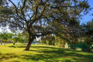 Jardín al aire libre en Crisol Jardines de Córdoba