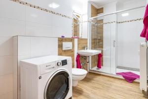 a washing machine in a bathroom with a toilet and a sink at Moderne Appartement Wohnung mit 2 Schlafzimmern im Zentrum von Riesa in Riesa