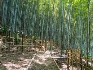 Zahrada ubytování Banyan Tree Higashiyama Kyoto