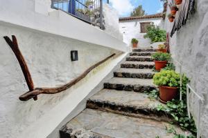 a set of stairs with potted plants on them at Casa Fina in Santiago del Teide