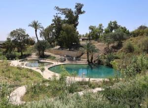 a swimming pool in the middle of a hill with trees at נוף גלבוע - עם ממד צמוד in Reshafim