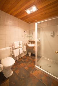 uma casa de banho com um WC, um lavatório e um chuveiro em Siena Motor Lodge em Whanganui