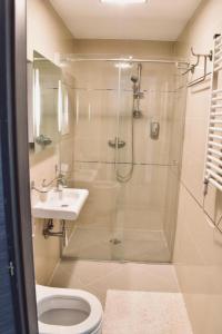 a bathroom with a shower and a toilet and a sink at Apartament Silver Mountain Resort & Spa Poiana Brasov in Poiana Brasov