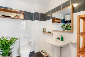 a bathroom with a sink and a toilet and a mirror at La casa de los viajeros in Punta del Hidalgo