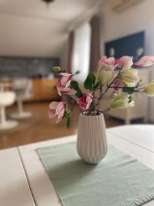 Fotografie z fotogalerie ubytování Apartman Magnolia v destinaci Zemun