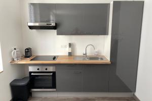 una piccola cucina con lavello e fornello di Le Dominicains appartement au calme aux portes de la Place Stanislas a Nancy