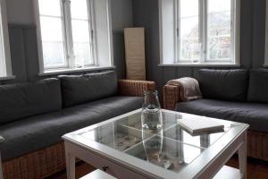 un salon avec des canapés et une table basse dans l'établissement Föhrhaus, Einzelhaus, Knickrehm, à Oldsum 4 autres photos