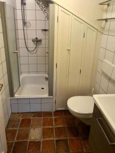 a bathroom with a shower and a toilet and a sink at Skriiwers Hüüs, Hausteil in Alkersum
