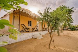 Royal Jaisalmer Resort with Swimming Pool في جيلسامر: منزل أمامه شجرة