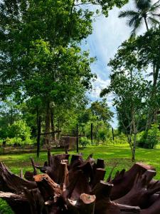 Giardino di The Cottage Sigiriya