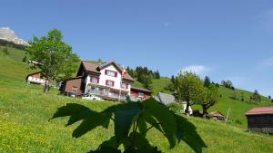 Příroda nedaleko penzionu – hostince + 17 fotografií