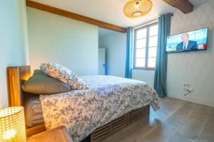 a bedroom with a bed with a tv on the wall at Les Blancs - Maison de maître entourée de vignes in Lisle-sur-Tarn