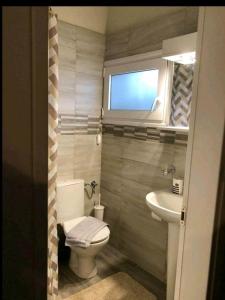 a bathroom with a toilet and a sink and a window at Ενοικιαζόμενο Διαμέρισμα in Lygia