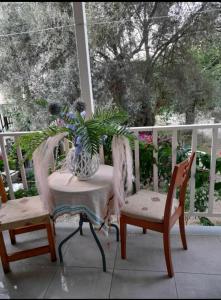 a porch with two chairs and a vase with a plant at Ενοικιαζόμενο Διαμέρισμα in Lygia