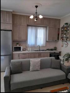 a living room with a couch in a kitchen at Ενοικιαζόμενο Διαμέρισμα in Lygia