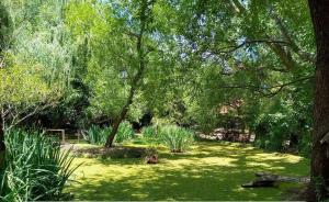 a garden with trees and green grass and plants at La Laguna - Cabañas de Troncos in Merlo