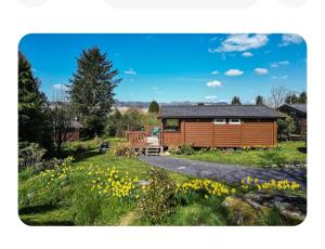 特兹西尼德Snowdonia Escapes # TRANQUIL CABIN with Views, Wi-Fi, Dog Friendly & Parking的鲜花盛开的田野中的小木屋