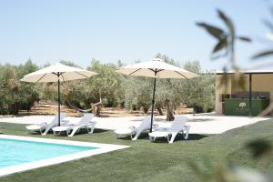 eine Gruppe von Stühlen und Sonnenschirmen neben einem Pool in der Unterkunft El Algar Casa Rural in La Carlota