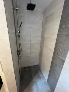 a shower with a glass door in a bathroom at Ferienwohnung Lange in Kalbe