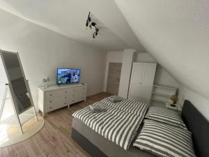 a bedroom with a bed and a tv on a dresser at Branderodaer Ferienwohnung in Baumersroda
