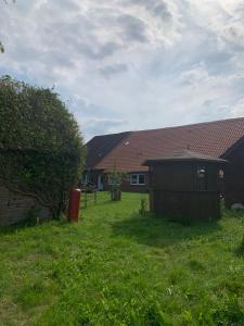 En have udenfor Hund