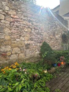 ハノーファーにあるAltstadtNest Hannoverの花束石壁