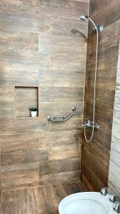 a bathroom with a shower and a toilet and a sink at HolaCentro in General Roca