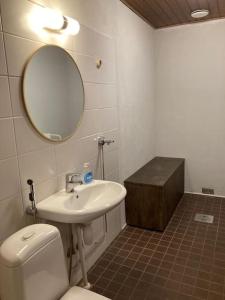 a bathroom with a sink and a toilet and a mirror at Paritalon huoneisto in Raahe