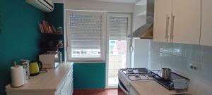 Kuchyň nebo kuchyňský kout v ubytování Apartman TIN