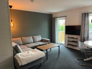 Χώρος καθιστικού στο Flott Leilighet i stølen oppdal for 6 personer, ski in, ski out