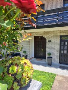 En have udenfor Vila Jevtić studio 3