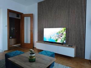 Μια τηλεόραση ή/και κέντρο ψυχαγωγίας στο Apartman Savić Solaris