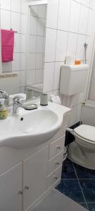 Koupelna v ubytování Apartman TIN