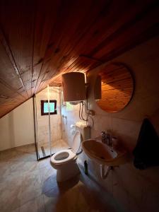 a bathroom with a toilet and a sink at Kuća za odmor Bilić in Sopot +34 photos