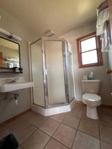 a bathroom with a shower and a toilet and a sink at Grant Hills Motel in Galena +18 photos