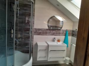 a bathroom with a shower and a sink and a mirror at Pod Żurawiem in Bóbrka
