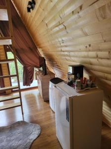 a kitchen with a refrigerator and a counter in a room at A-Frame Bella in Zăvoi