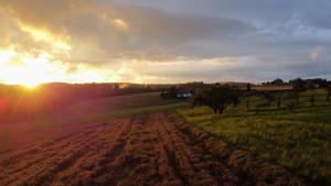 a field with the sun setting in the background at Schwarzwald Chalet Auwald in Freiamt +31 photos