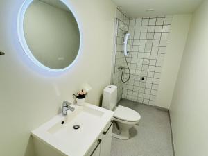 Un baño con lavabo, inodoro y espejo. en aday - Holiday charming Studio, en Aalborg