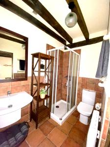 a bathroom with a shower and a toilet and a sink at Casa Pernila in Tábara